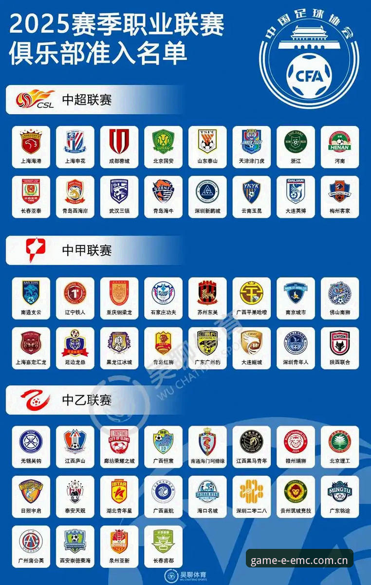 中国足球“净化风暴”深度解读——从足协第三批禁足名单看行业自律的实用指南